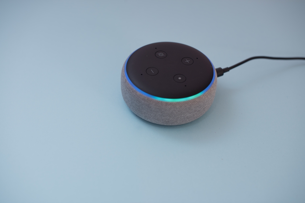 Voice-Activated Assistant