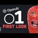 OpenAI o1 model