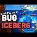 software bugs